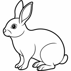 rabbit vector design 