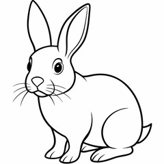 rabbit vector design 
