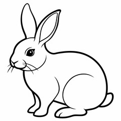 rabbit vector design 