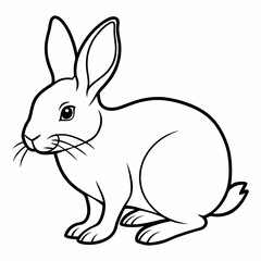 rabbit vector design 