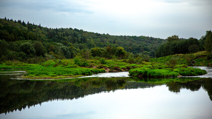 Tranquil river landscape with lush green forest and calm waters, creating a serene environment