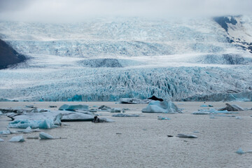 Fjallsárlón glacier melt behind a lagoon with floating icebergs