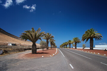 Egzotyczny krajobraz, wyspy kanaryjskie, wyspa Lanzarote, w tle niebieskie niebo i białe chmury © anettastar