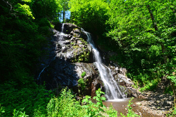 Obraz premium A view from Soguksu Waterfall in Borcka, Artvin, Turkey