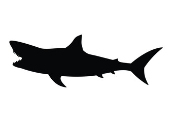 Isolated black silhouette of a toothy shark on a white background. Vector in EPS format.