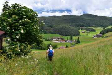 Fototapeta premium Mann wandert bei Kastelruth in Südtirol 