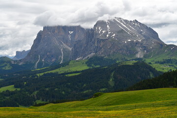 Schöne Landschaft mit Fels auf der Seiseralm in Südtirol 