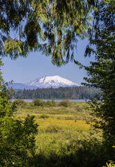 Mount St Helens national volcanic monument