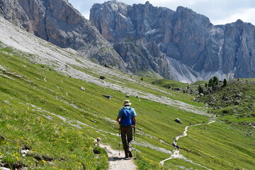 Mann und sein Lagotto Romagnolo Hund wandern auf Seceda in Südtirol 