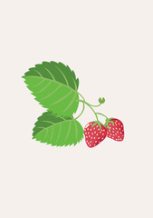 Strawberry