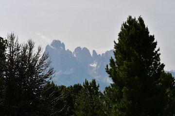 Schöne Landschaft auf dem Raschötz in Südtirol 