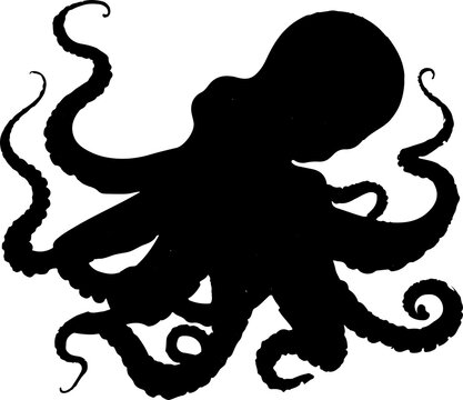 recommend clip art: octopus illustration isolated on transparent  background. 
                    