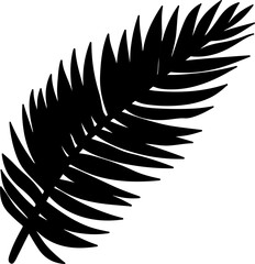 palm leaf vector illustration isolated on transparent background. 
