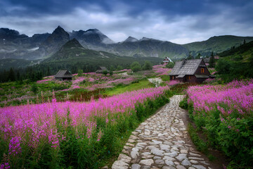 Beautiful summer in the mountains - Hala Gasienicowa in Poland - Tatras