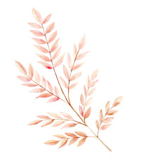 Autumn sprig of leaves. Watercolor illustration in pastel colors. The drawing is hand drawn. Suitable for cards, invitations and textiles. Ready page for notebooks and scrapbooking