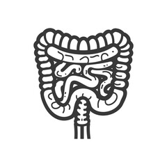 Hand-Drawn Sketch: Human Digestive System Anatomy Illustration