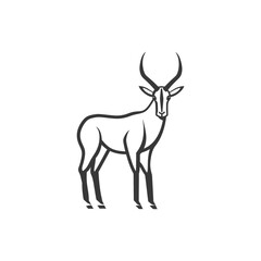 Obraz premium Elegant Black and White Line Art Illustration of a Male Impala Antelope