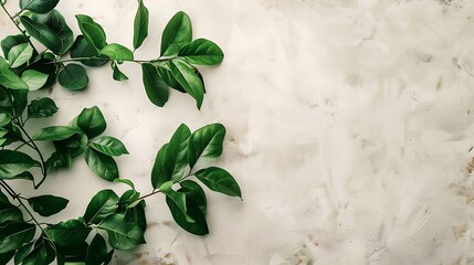 White icon on wall background with green leaves