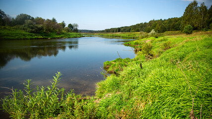 A calm river landscape with greenery under a blue sky is a picturesque view of untouched nature