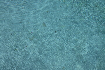 Closeup empty blue swimming pool.