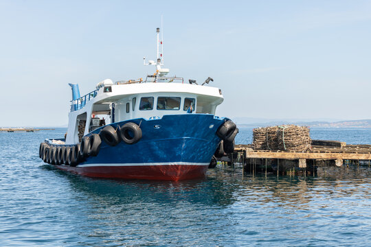 Mussels harvesting operation with a specialized boat