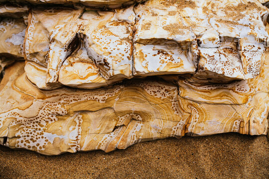 Closeup of patterned sandstone on sea cliffs along the Santa Cruz, California coast