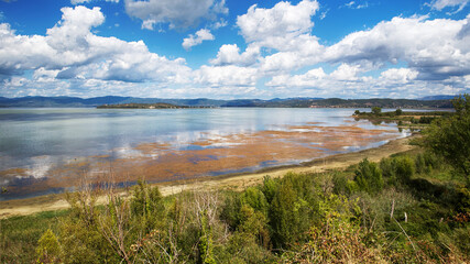 Wilderness panorama at Trasimeno lake with wild nature and mood sky with light reflections on the water with many aquatic plants over the water surface, beautiful nature in Umbria - Italy