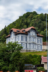 City of Celje in Slovenia, beautiful village decorated with flowers, traditional buildings with towers and castle, interesting tourist stop. Artistic  graffiti. Main street with church and gold statue