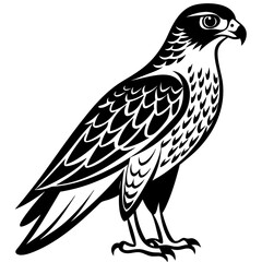 Hawk silhouette vector illustration on white background