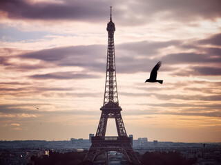 Eiffel tower at sunset