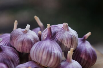 
Fresh garlic on a dark background, presenting its natural texture and rich, earthy tones. Perfect for culinary, health and organic-themed projects.