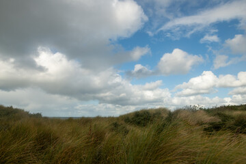 Paysage de plage avec les dunes et les nuages
