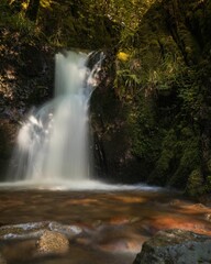 Naklejka premium A serene waterfall cascading over moss-covered rocks in a lush forest setting. long exposure