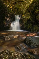 Fototapeta premium A serene waterfall flowing into a rocky stream surrounded by lush green forest Germany