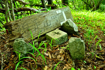 道志山塊の砂須山山頂　森の中の三角点
