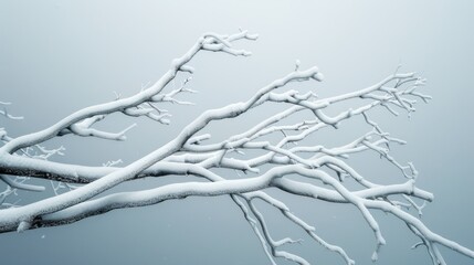 Snow-covered branches of a tree are extending out against a smooth grey sky, creating an elegant contrast and showcasing the stillness and beauty of winter.