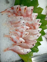 photo of fresh fish arranged to attract buyers in a supermarket
