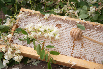 still life with full honeycombs and a jar of ocacia honey on the table, organic enriched beekeeping...
