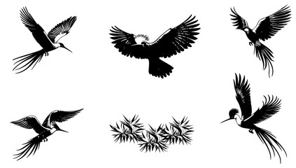 Birds of paradise vector icons and silhouettes. Little birds illustrations in different poses.