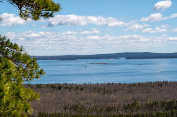 Coastal View From A Maine Forest. A wide view of a calm body of water, likely a bay or inlet, with a small island in the distance. The shore is lined with trees and bushes, and the sky is filled with