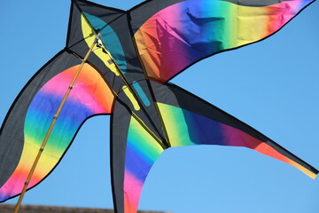 Colorful kite