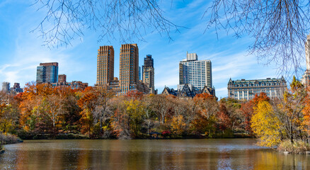 Obraz premium New York. NYC. Central Park. Autumn beauty of nature. Nature in city park. Fall cityscape in park. Autumn landscape. Nature fall landscape. Autumnal season in central park. Seasonal cityscape in