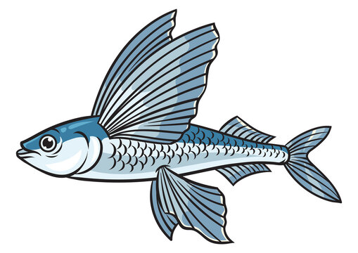 recommend clip art: Flying fish animal pop art retro PNG illustration. Comic book style imitation.