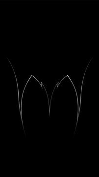 recommend clip art: A white outline of two fangs against a black background, likely a Halloween decoration