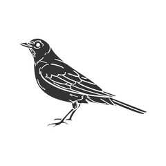 American Robin Icon Silhouette Illustration. Vector Graphic Pictogram Symbol Clip Art. Doodle Sketch Black Sign.