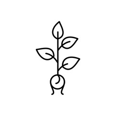 Seed of tree with leaves icon