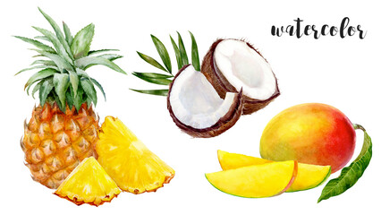 Watercolor illustration of exotic tropical fruits like pineapple, coconut, and mango