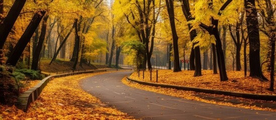Fototapeta premium Autumnal Pathway Through a Golden Forest