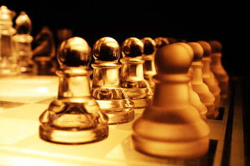 chess pieces on the board
