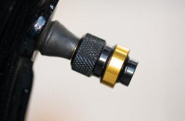 Tyre Valve and Gold Cap